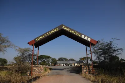 DSC_3369 (Large).JPG